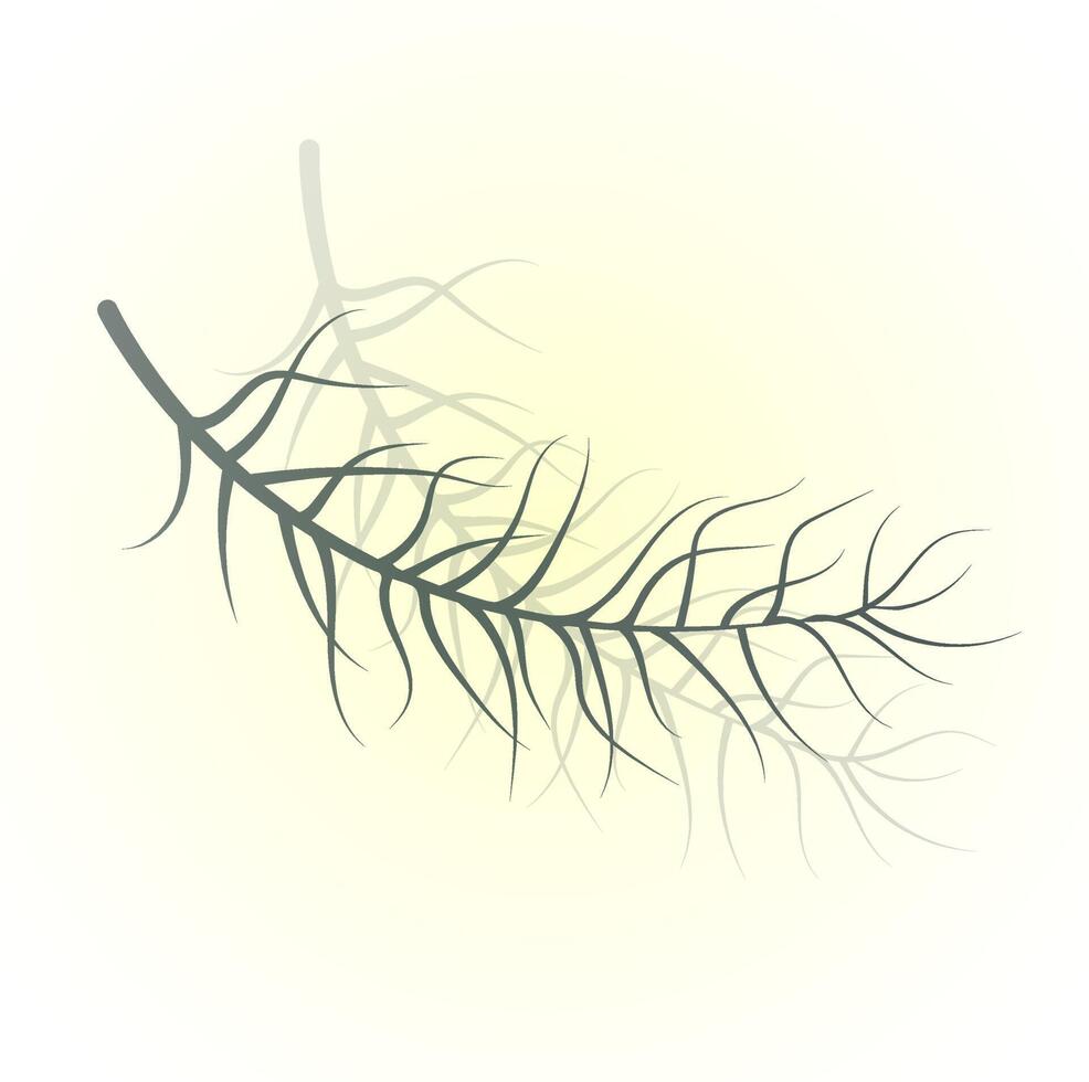 ein Zweig einer grünen Pflanze. Blätter und Nadeln vektor