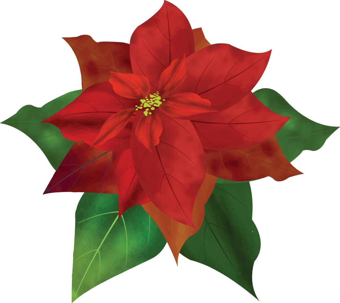 frohe weihnachten poinsettia blume, kann diese grafik für jede art von waren verwendet werden. Es ist perfekt für alle Projektverpackungen, Schreibwaren, Tassen, Taschen, Kissen, T-Shirts usw., was immer Sie wollen vektor