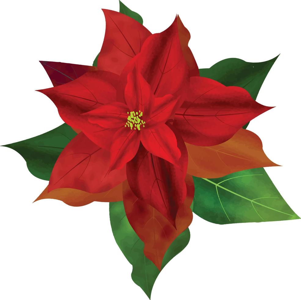 frohe weihnachten poinsettia blume, kann diese grafik für jede art von waren verwendet werden. Es ist perfekt für alle Projektverpackungen, Schreibwaren, Tassen, Taschen, Kissen, T-Shirts usw., was immer Sie wollen vektor