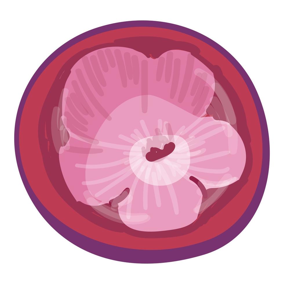 Mangosten-Blumen-Symbol Cartoon-Vektor. Mangostan-Frucht vektor