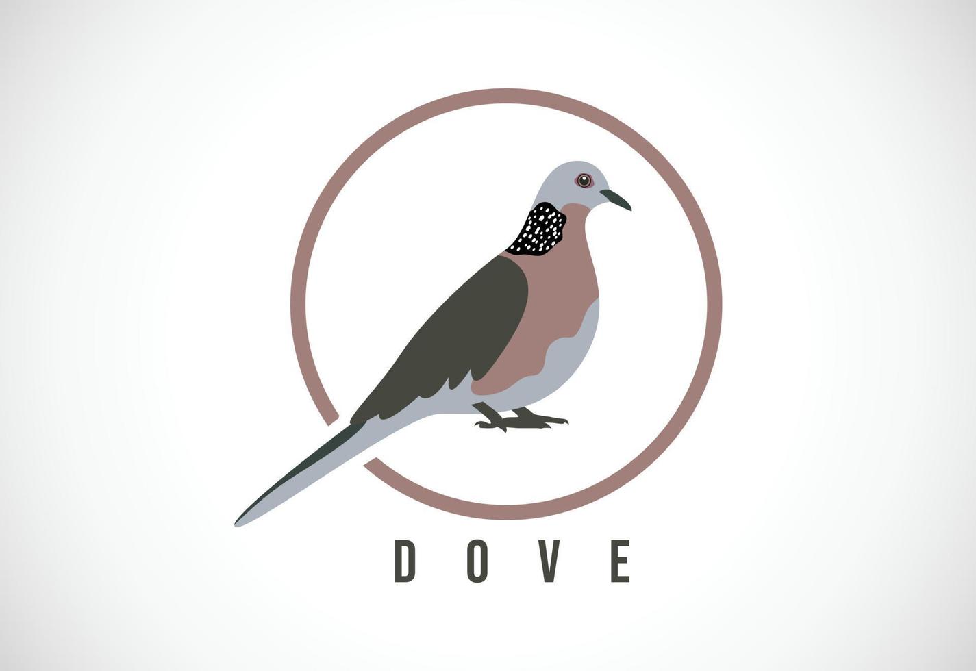 Taubenvogel im Kreis. Taube Vogel Logo Design Vorlage Vektor Illustration