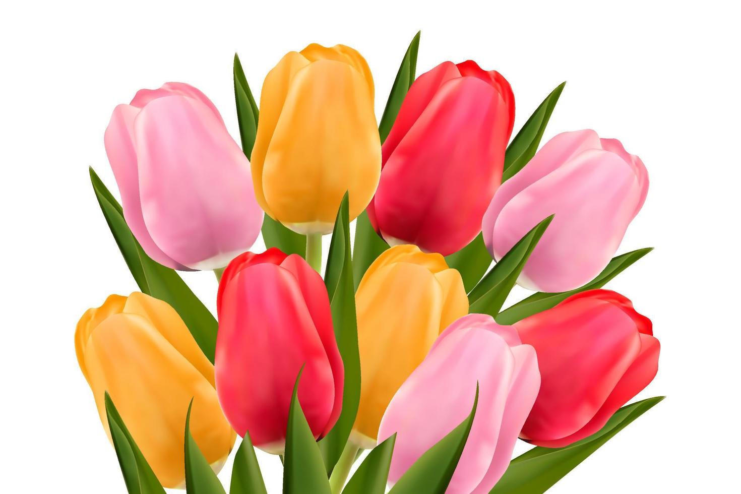 Blumenstrauß aus bunten Tulpen auf weißem Hintergrund. das konzept von muttertag, frauentag. Vektorbild vektor