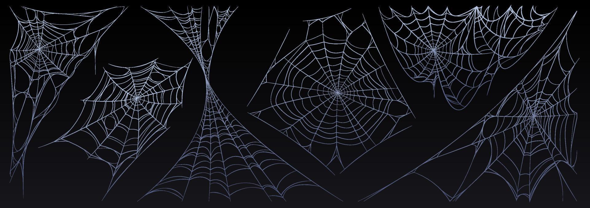 Spindel webb halloween uppsättning, spindelnät läskigt insekt netto vektor