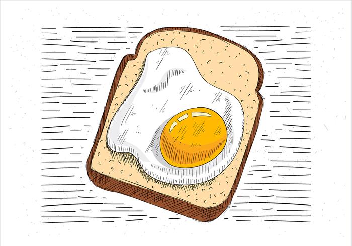 Hand gezeichnet Toast Illustration vektor