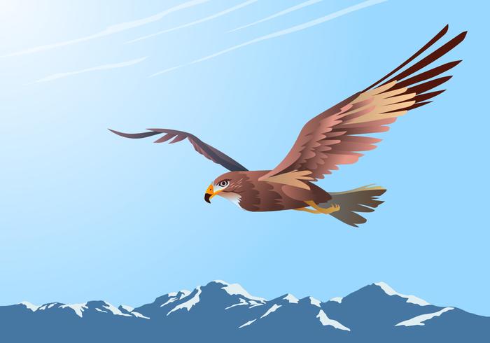 buzzard som flyger över bergen vektor