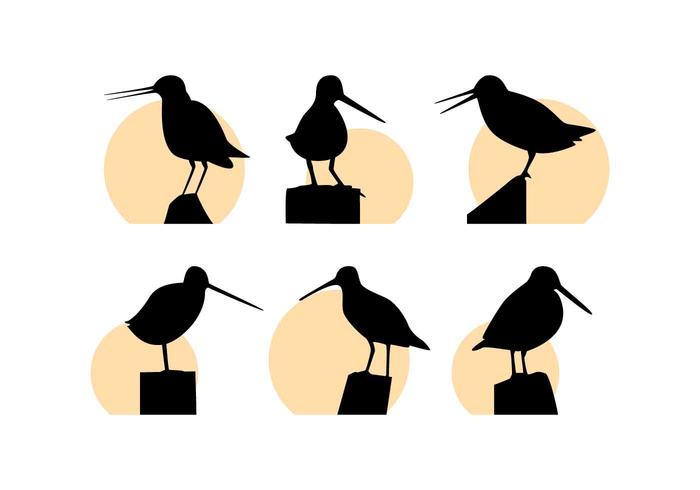 Gratis Utomhus Snipe Bird Vectors