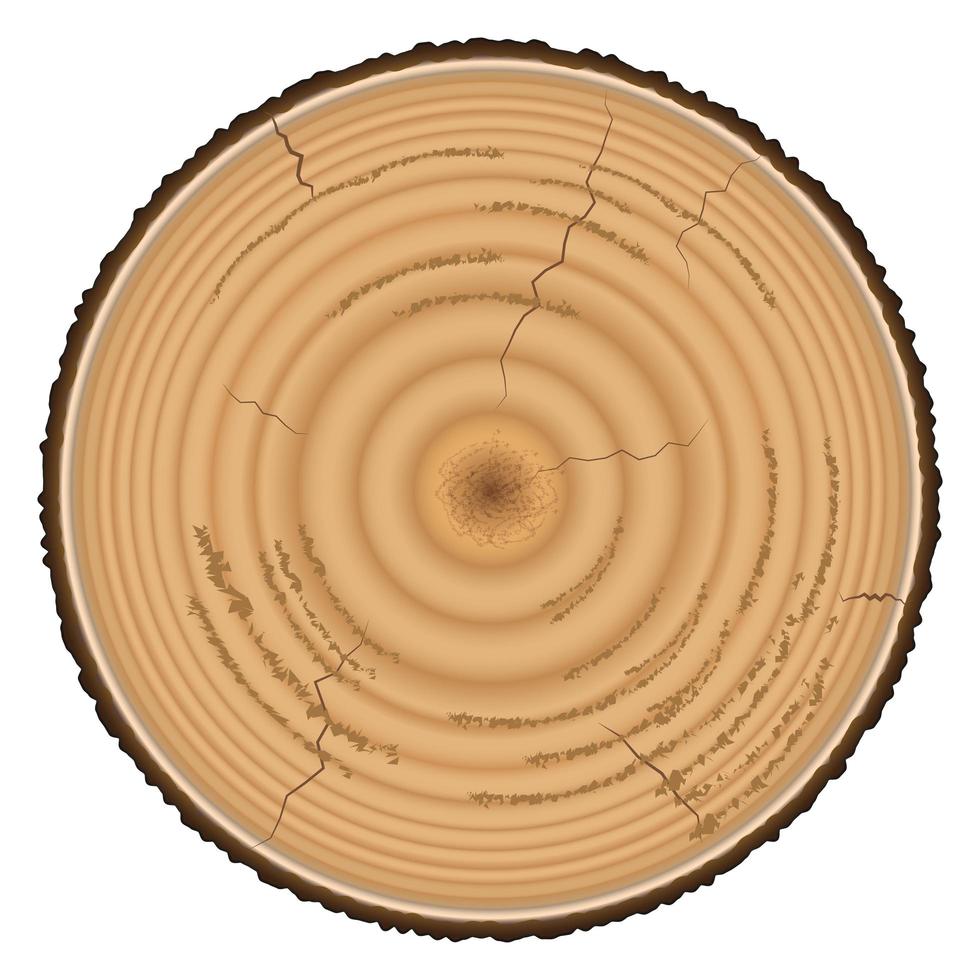 Holz Holz isoliert auf weißem Hintergrund vektor