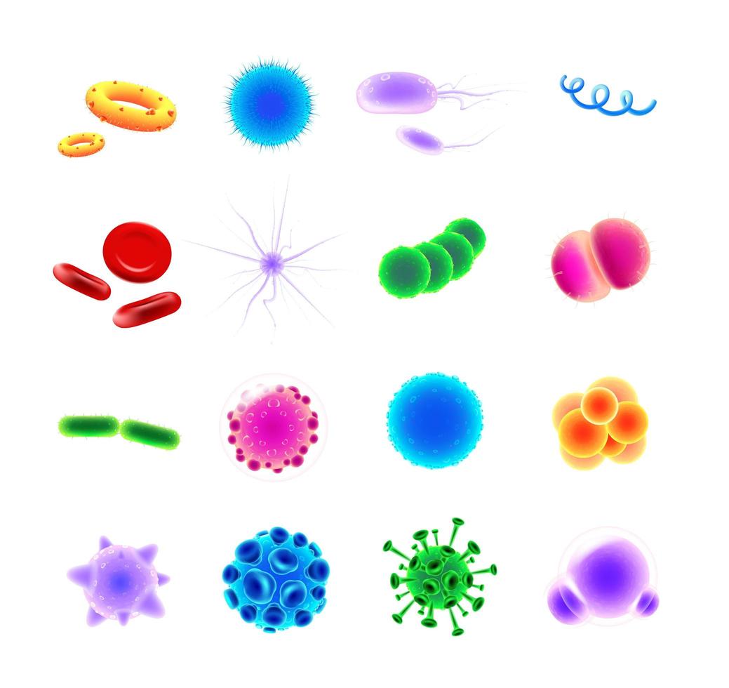 bakterier typer ikoner set vektor