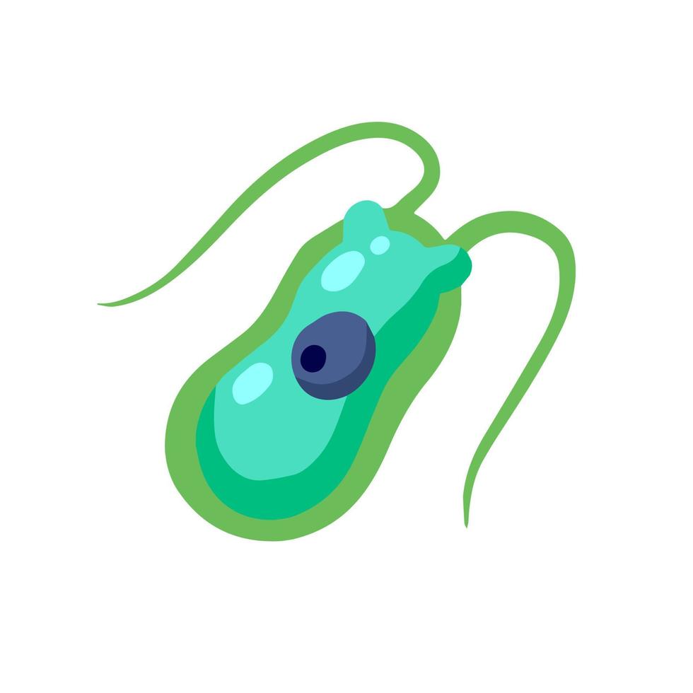klamydomonas plankton. små encellig grön djur- med antenner och flagella. platt tecknad serie vektor