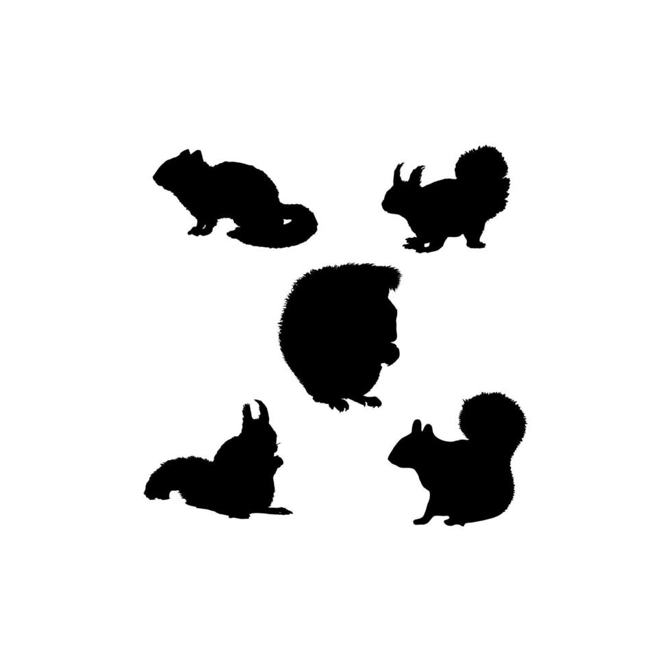 Eichhörnchen-Set-Silhouette-Symbol-Logo vektor