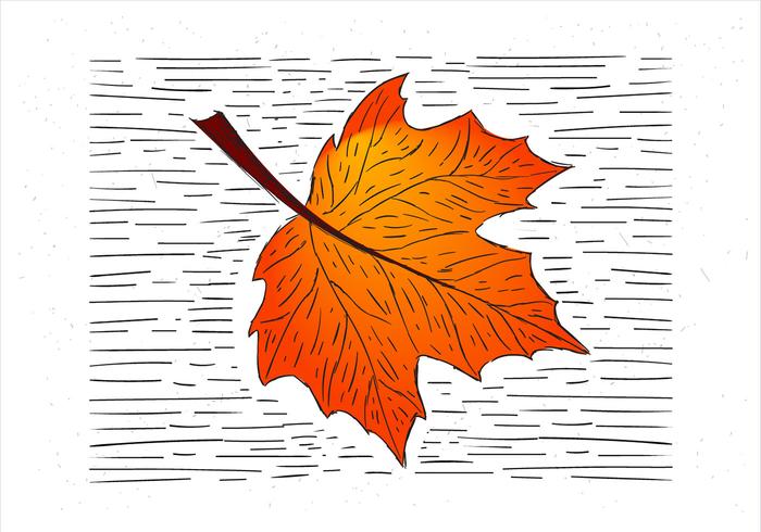 Kostenlose handgezeichnete Herbst Blatt Illustration vektor