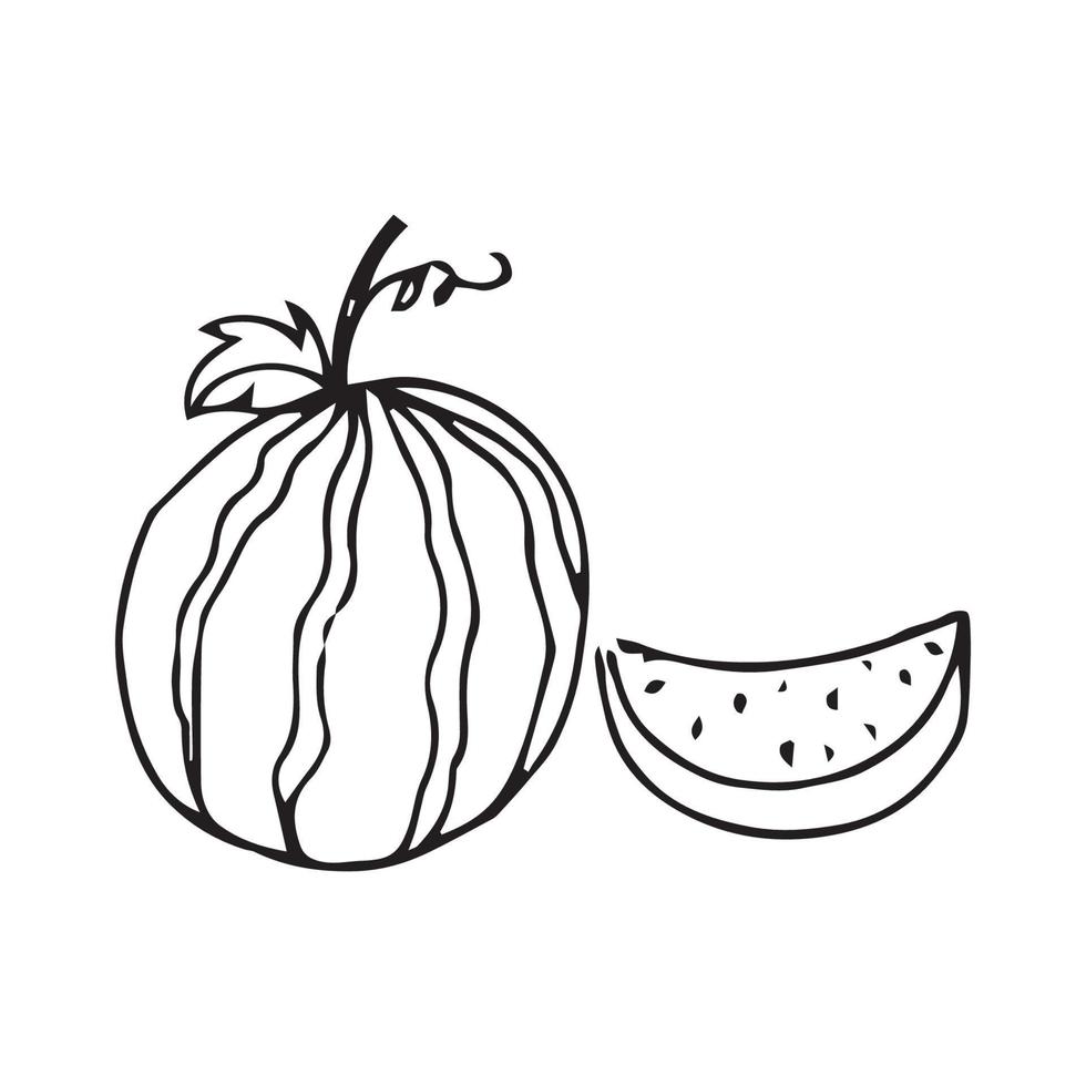 vattenmelon hand teckning. vattenmelon vektor illustration för design med linje stil