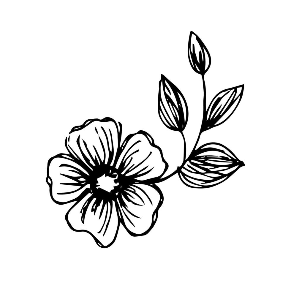 Vektor minimalistische handgezeichnete Blumen. Illustration der floralen Einladung und Dekoration im Retro-Stil