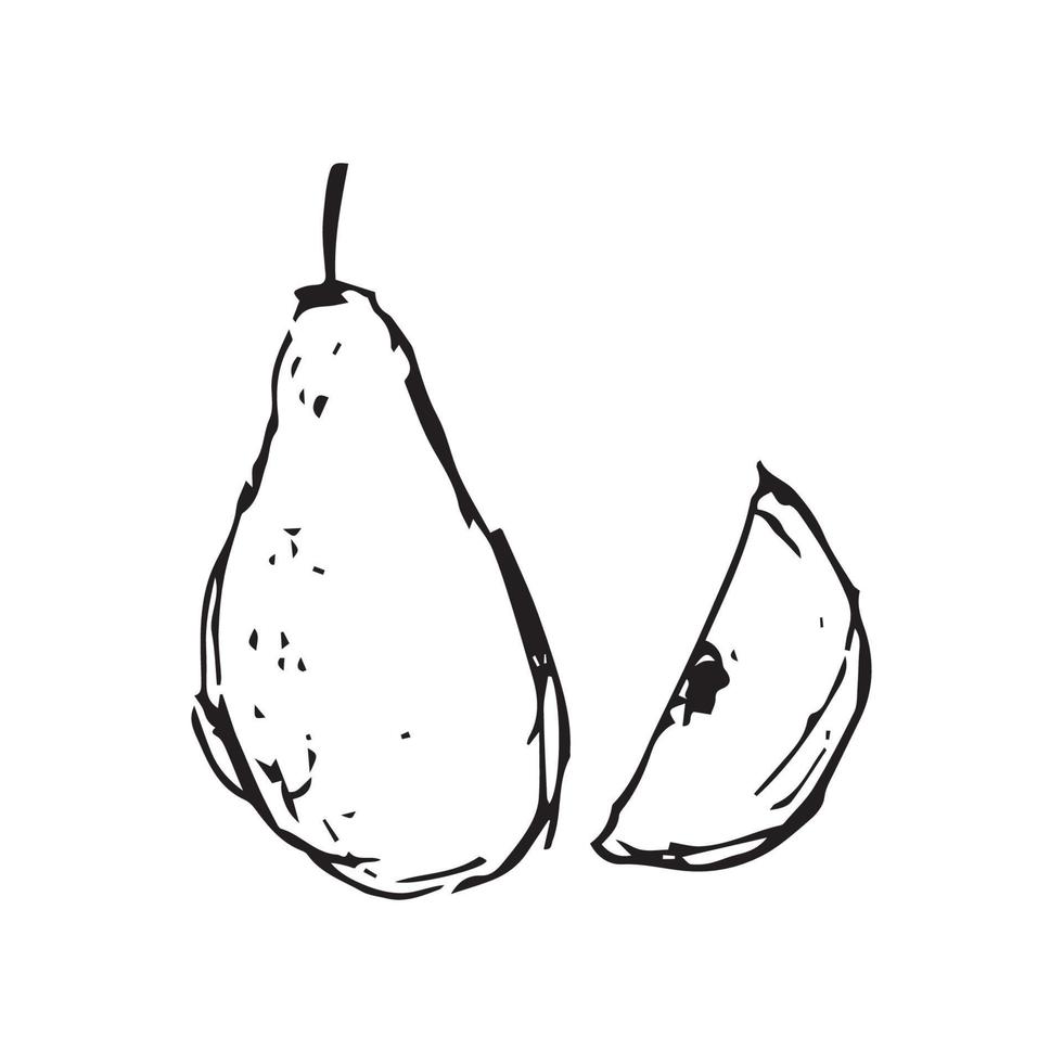 Papaya-Handzeichnung. Papaya-Vektorillustration für Design mit Linienstil vektor