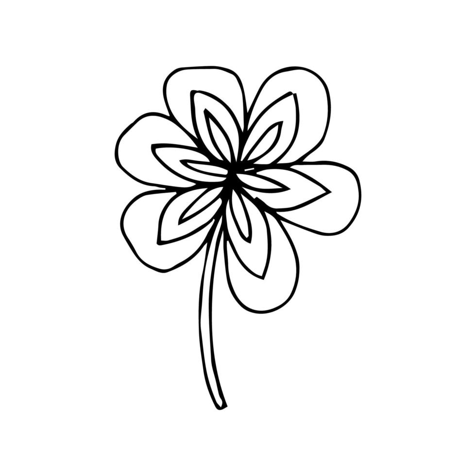 minimalistischer handgezeichneter Blumenvektor. Illustration von Blumen für Design- und Dekorationselemente im Vintage-Stil vektor