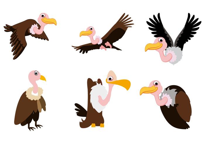 Gratis Buzzard Vector