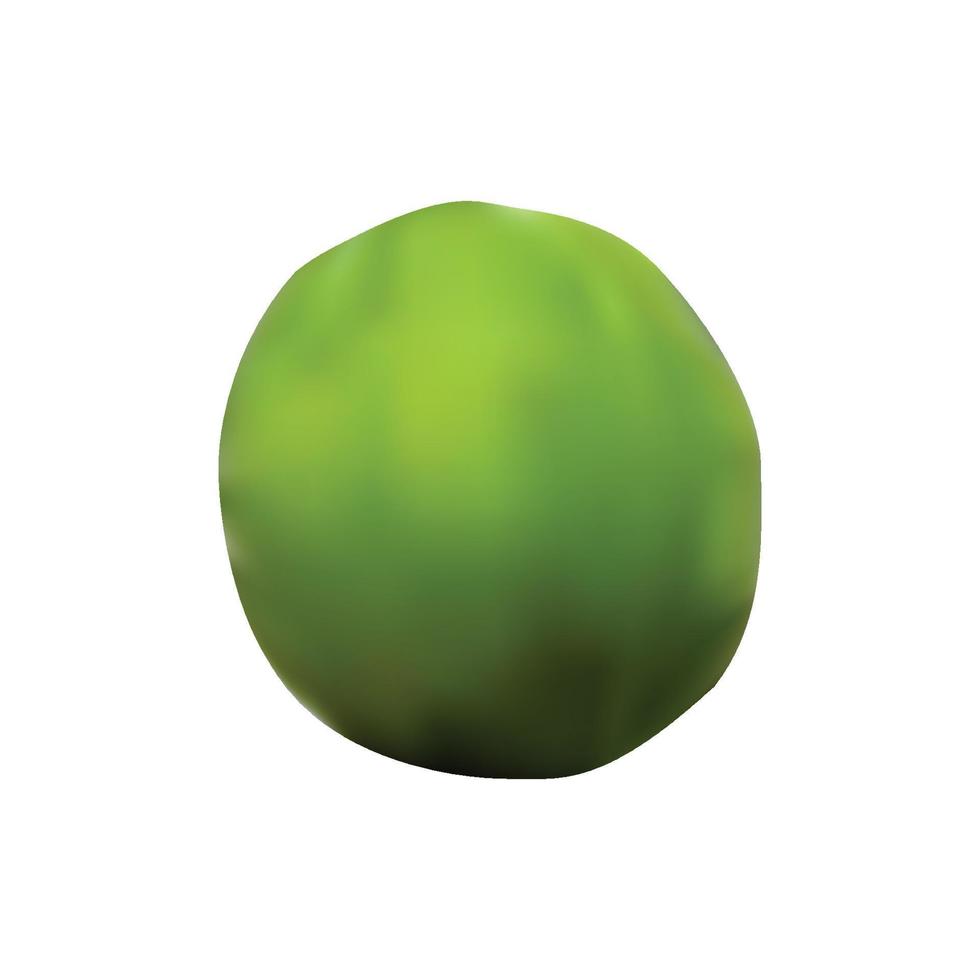 realistische grüne Papaya. voll editierbar, isoliert auf weiß. vektor