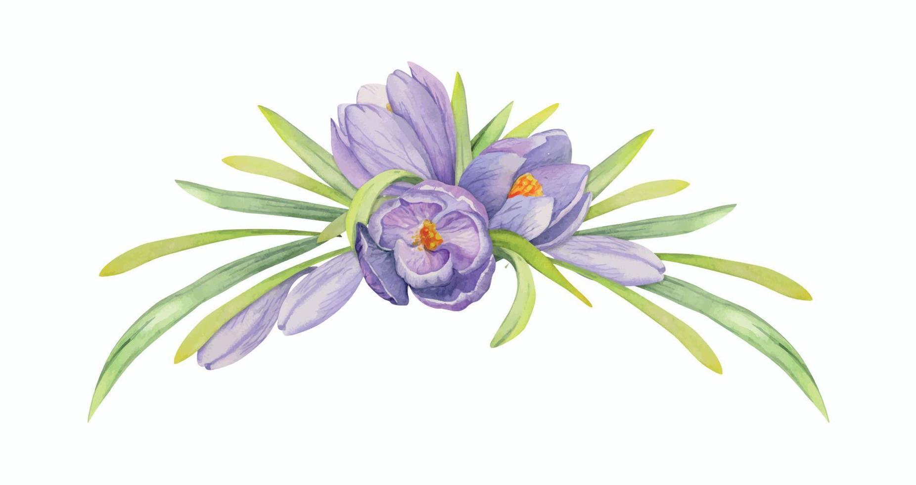 aquarell handgezeichnete komposition mit frühlingsblumen, krokus, blättern und stielen, schleife, geschenkanhänger. isoliert auf weißem Hintergrund. für einladungen, hochzeit, grußkarten, tapeten, druck, textil. vektor