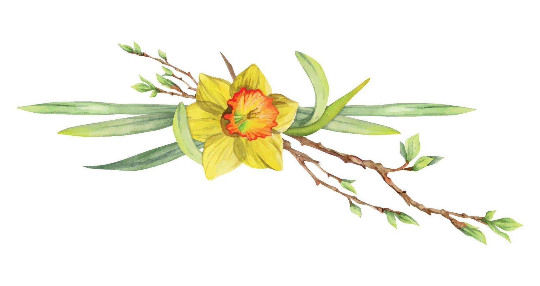 aquarell handgezeichnete komposition mit frühlingsblumen, narzissen, blättern und stielen, schleife, geschenkanhänger. isoliert auf weißem Hintergrund. für einladungen, hochzeit, grußkarten, tapeten, druck, textil. vektor