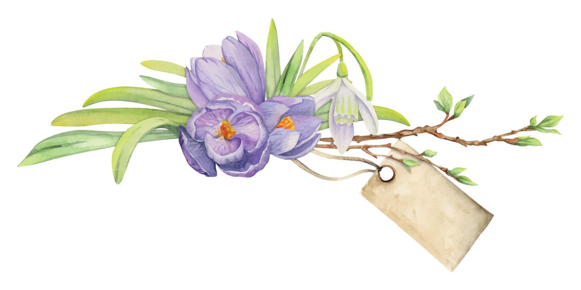 vattenfärg hand dragen sammansättning med vår blommor, krokus, löv och stjälkar, rosett, gåva märka. isolerat på vit bakgrund. för inbjudningar, bröllop, hälsning kort, tapet, skriva ut, textil. vektor