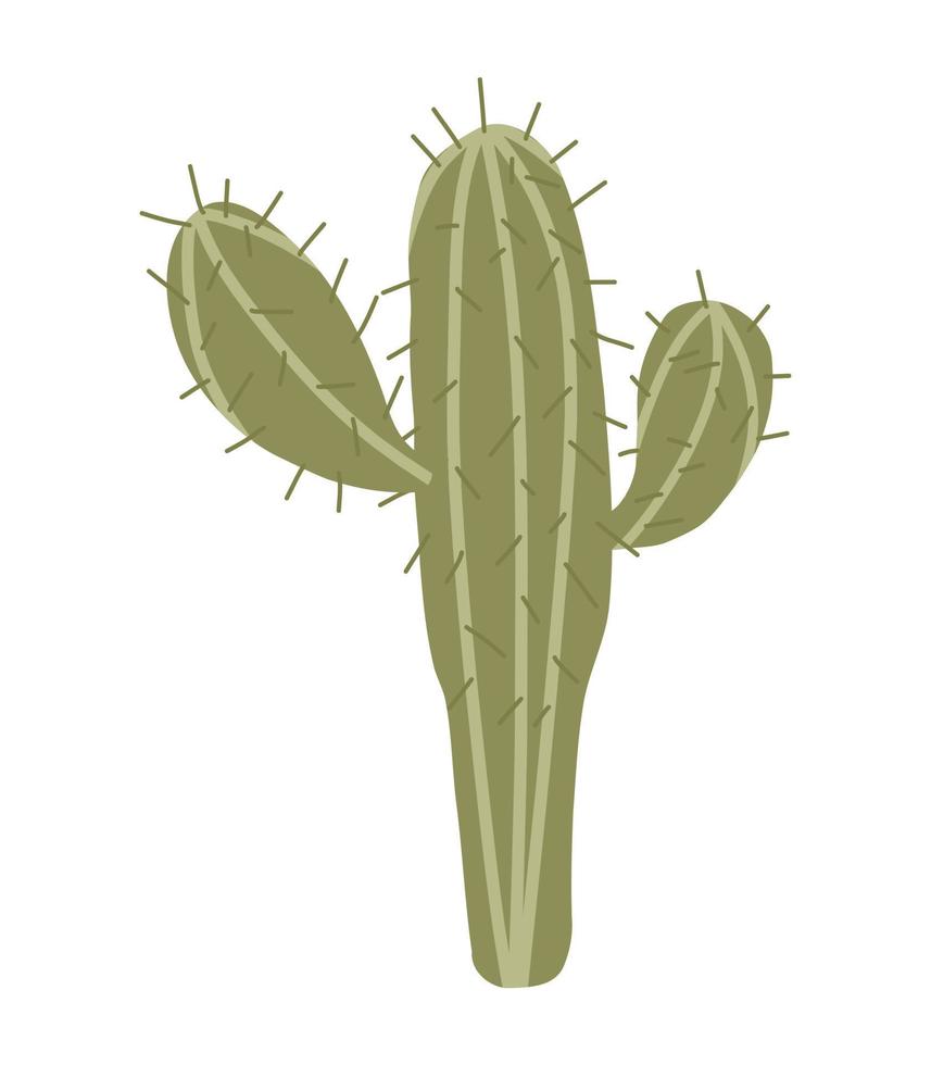 en enkel kaktus illustration. hand dragen växt vektor illustration