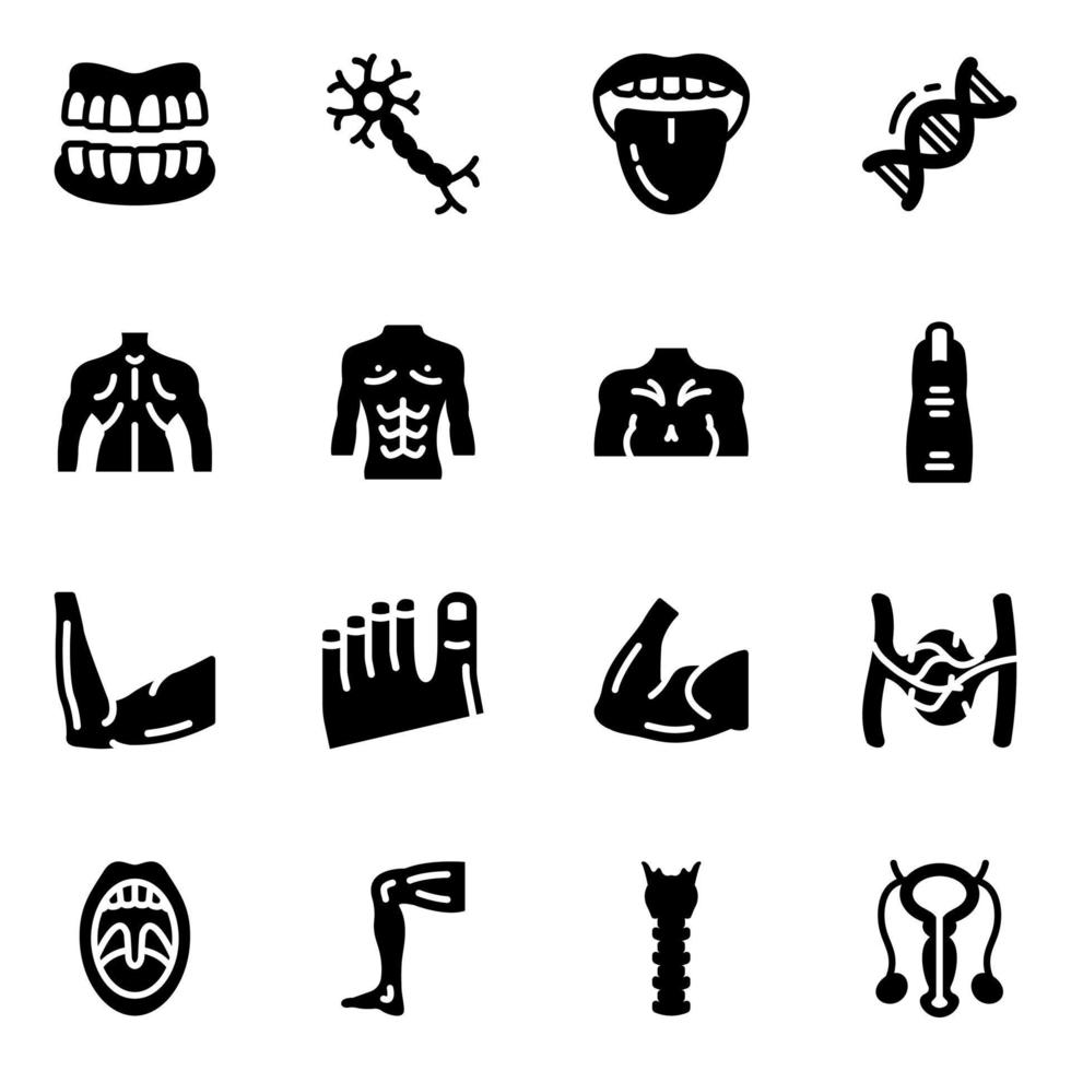 Körperanatomie-Linien-Icons-Pack vektor