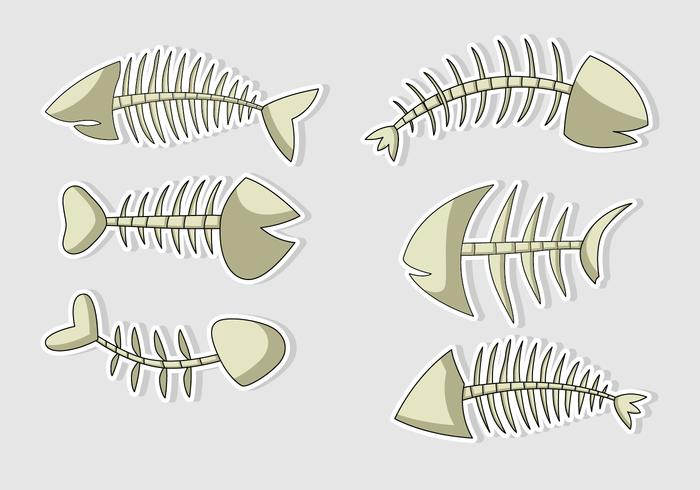 Vektor Fisch Knochen Cartoons Isoliert