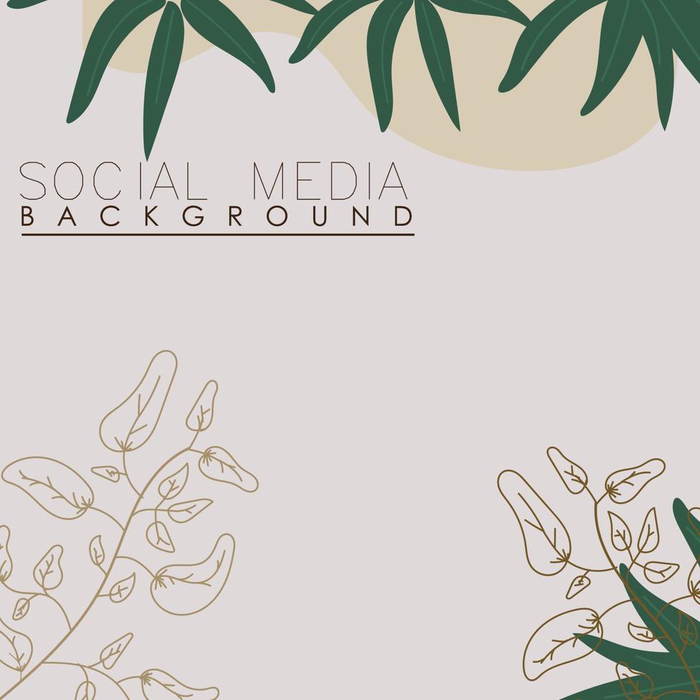 vektor botanisk, blommor, växter baner bakgrund fyrkant social media posta,