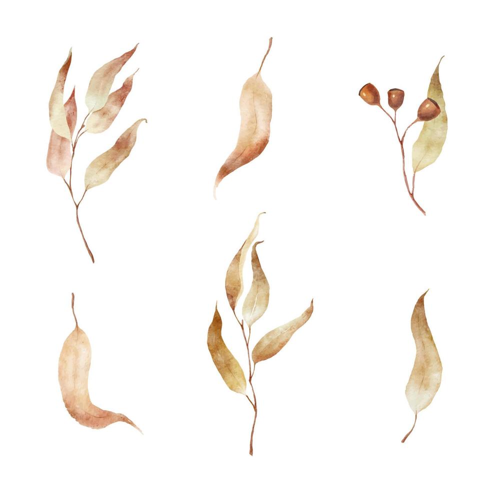 vattenfärg eukalyptus grenar med höst gyllene löv isolerat på vit bakgrund. vektor illustration.