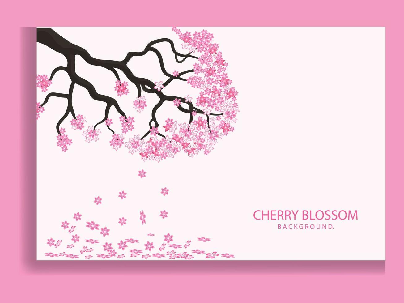 sakura blomma gren. fallande kronblad, blommor. isolerade flygande realistiska japanska rosa körsbär eller aprikos blommiga element faller ner vektor bakgrund. körsbärsblom gren, blomblad illustration