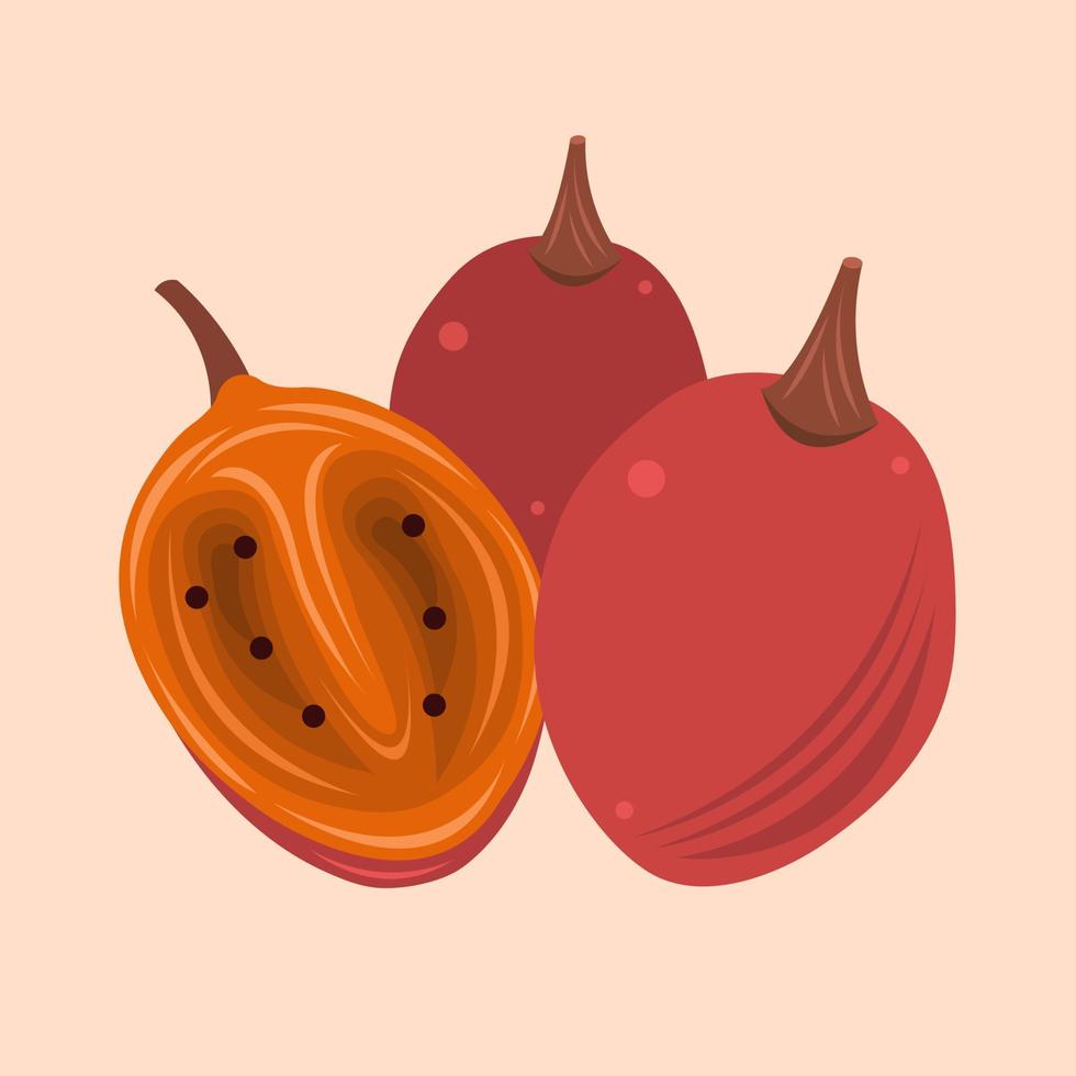 tamarillo vektor illustration för grafisk design och dekorativ element