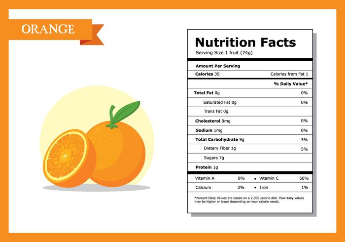 Orange Nutrition Fakta Vector