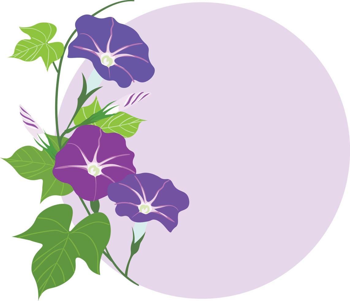 Vektor-Illustration von Morning Glory Blumen mit Blättern vektor