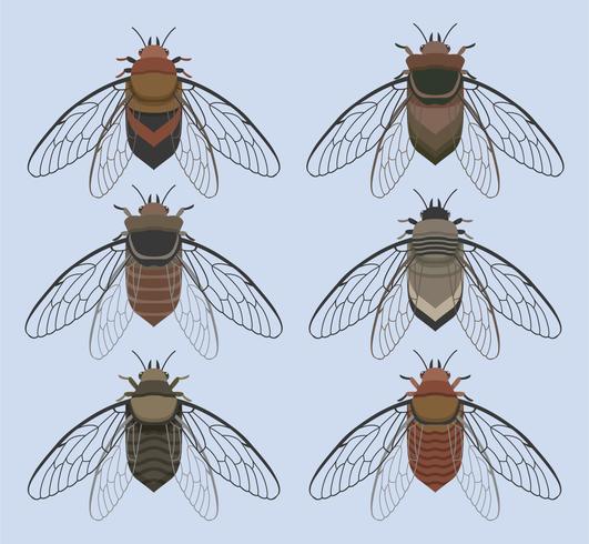 Cicada Bug Med Blå Bakgrund Vector Samling