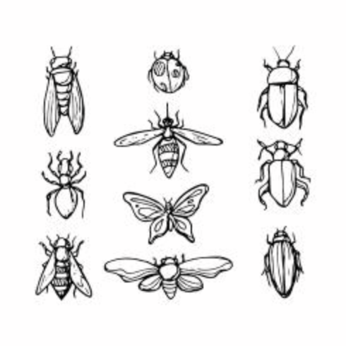 Kostenlose Skizze Insekt Icon Vektor