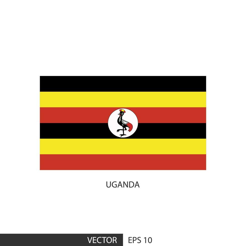 uganda fyrkant flagga på vit bakgrund och specificera är vektor eps10.