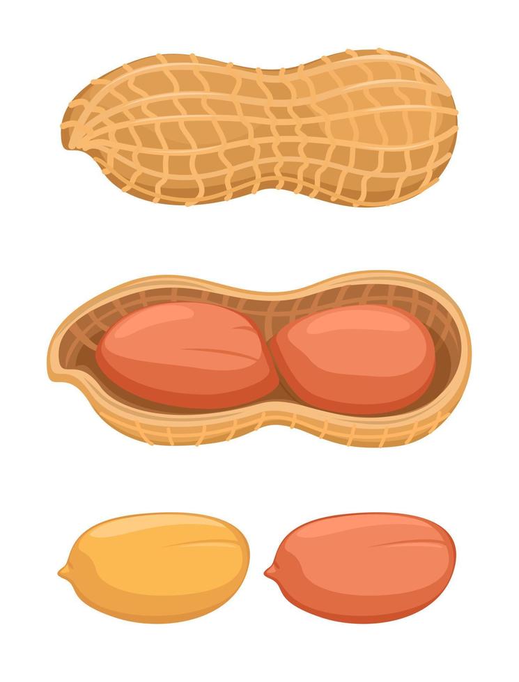 Illustrationsvektor des Erdnusssymbolsatzes vektor