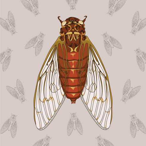 Cicada Hand Drawn Illustration Med Mönster Bakgrund vektor