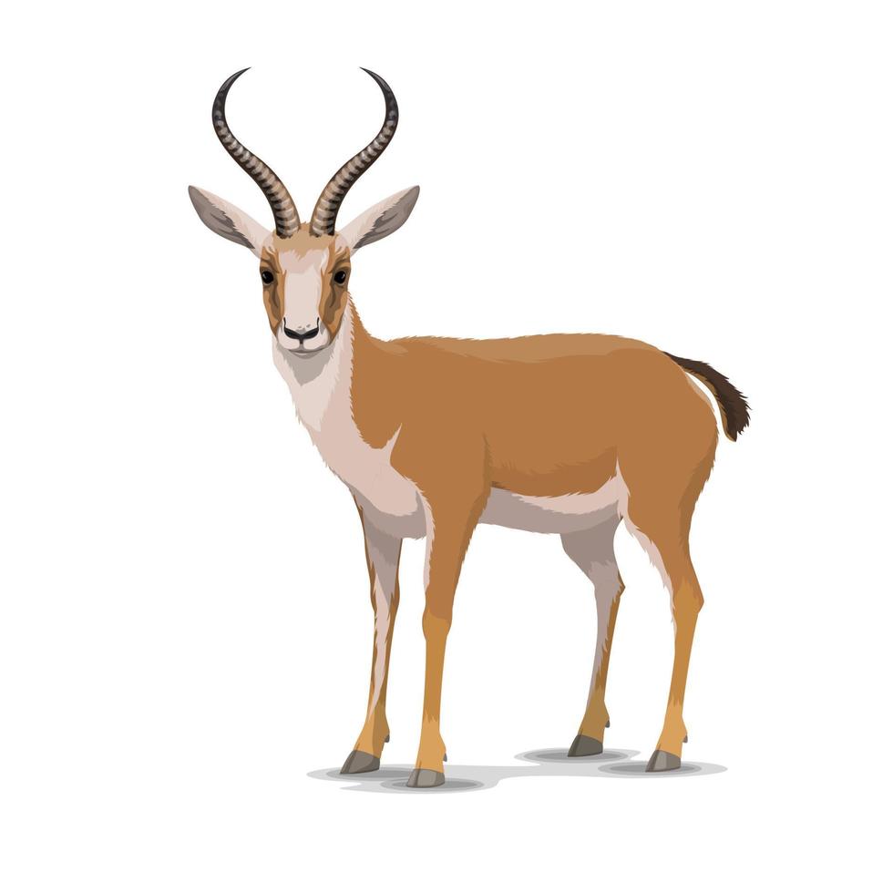 Cartoon Kropf Gazelle Tier, Vektor
