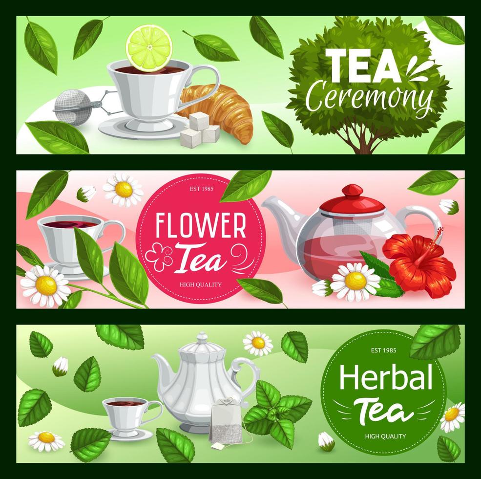 Teetassen, Teekannen und Blätter mit Zucker, Teebeutel vektor