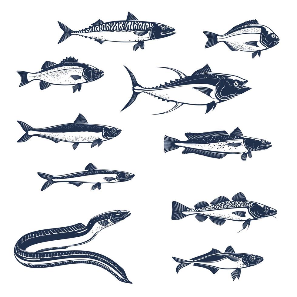 hav och hav fiskar vektor ikoner