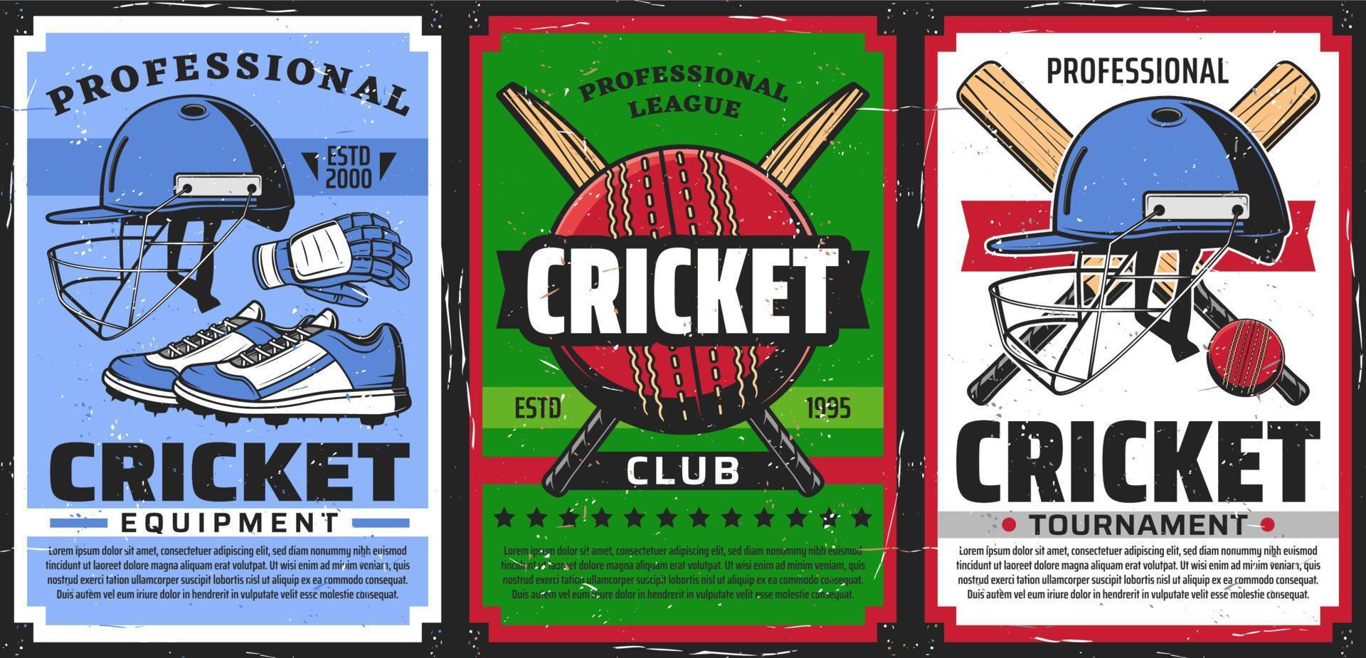 cricket sport spel Utrustning posters vektor