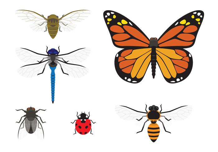 Insekter Vector Set