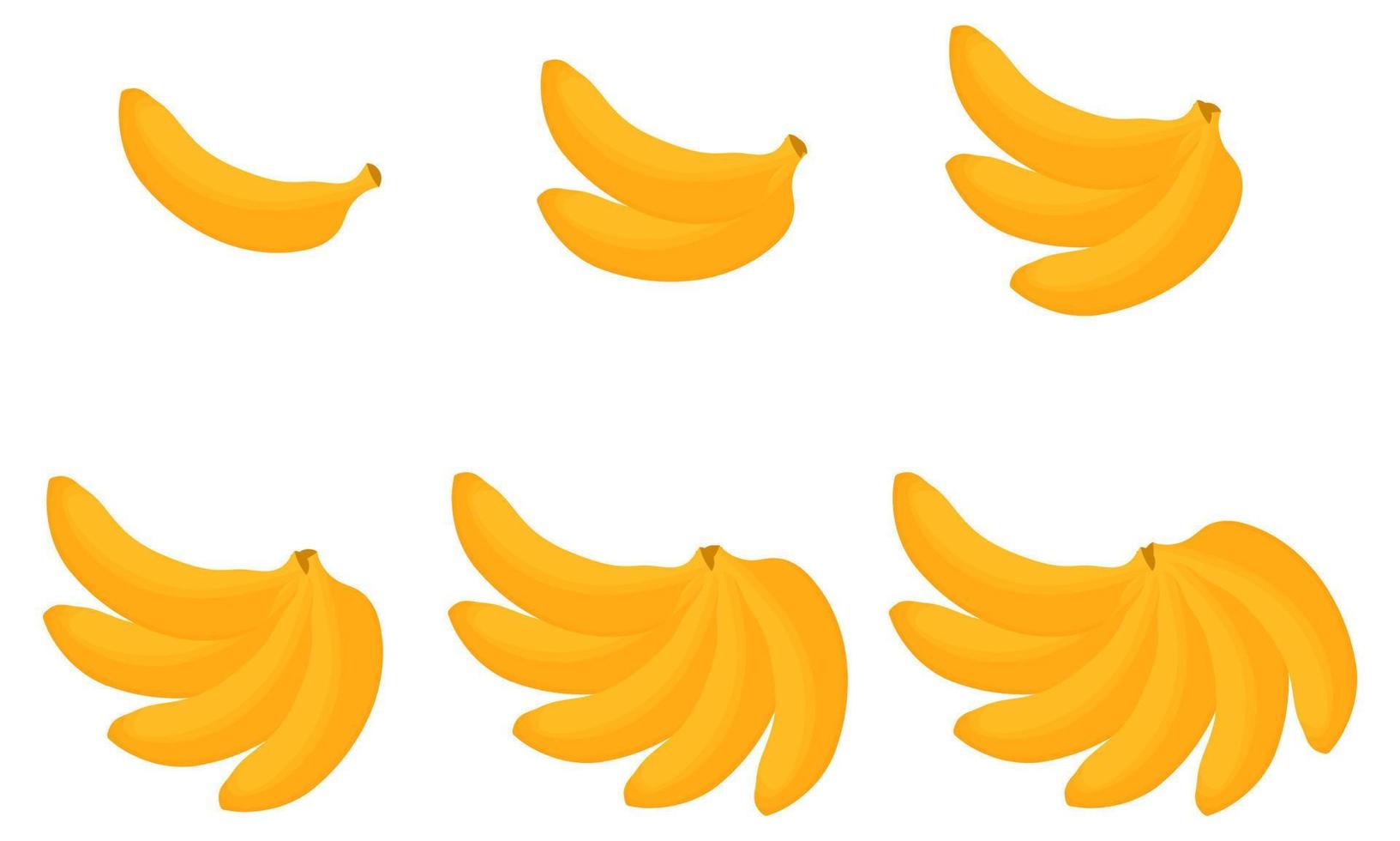 en samling av banan illustrationer vektor