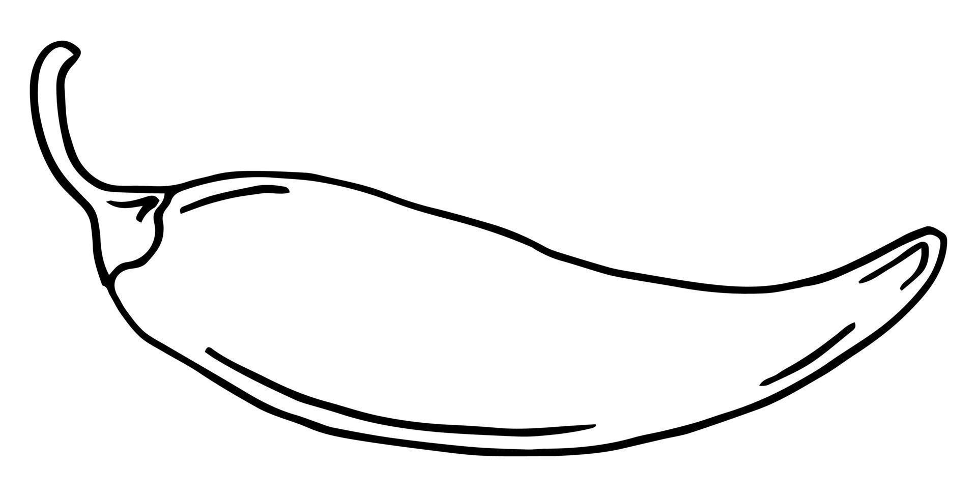 Chili-Pfeffer handgezeichnete Umrisse Doodle-Symbol. Vektorskizzenillustration von Chilischoten für Druck, Web, Handy und Infografiken isoliert auf weißem Hintergrund. vektor
