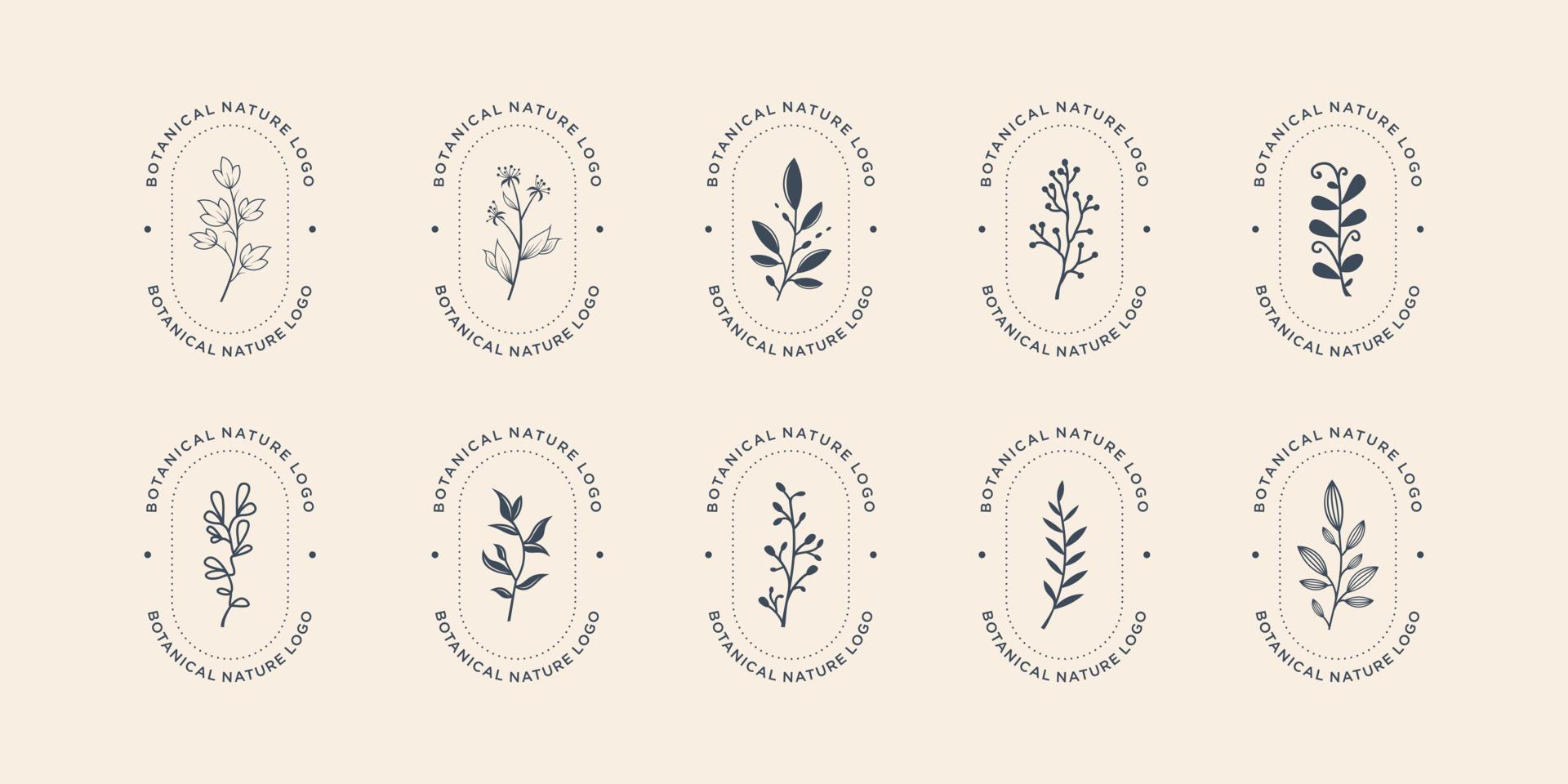 Sammlung botanische Natur-Logo-Vorlage. hand gezeichnetes feminines blumenbündel, ornamentlogos. vektor