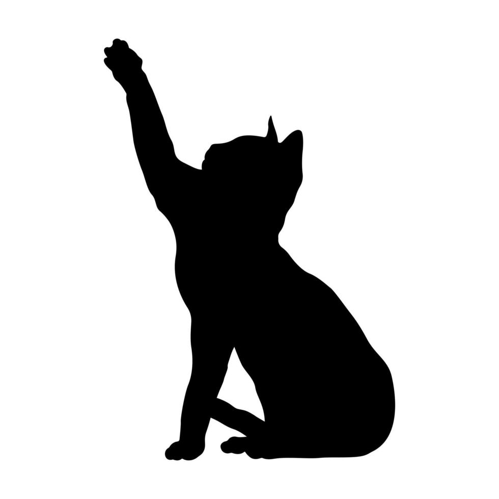 katt svart silhuett vektor filer fri vektor