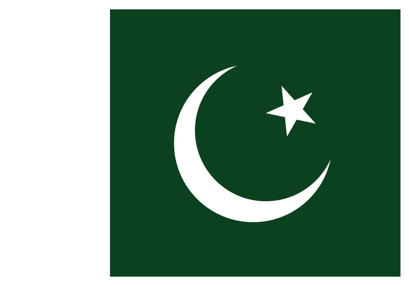 Nationalflagge von Pakistan - flaches Farbsymbol. vektor