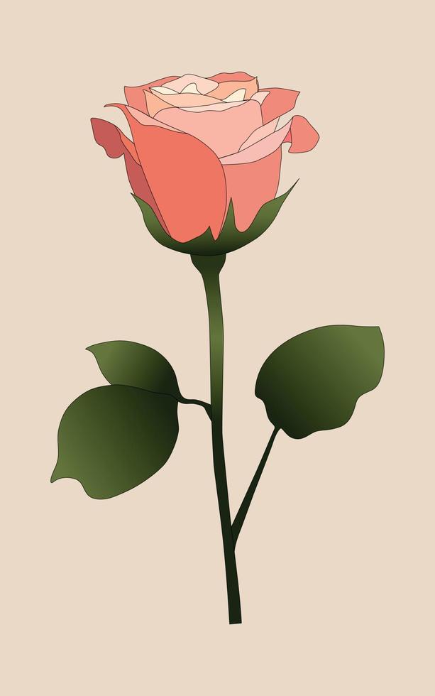 schöne rosa Rose auf beigem Hintergrund vektor