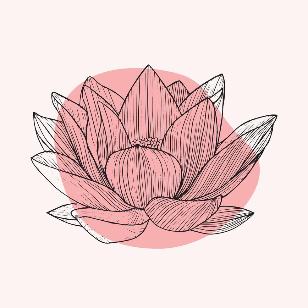 blomma lotus med färger fläck. lotus linje konst. vektor illustration.